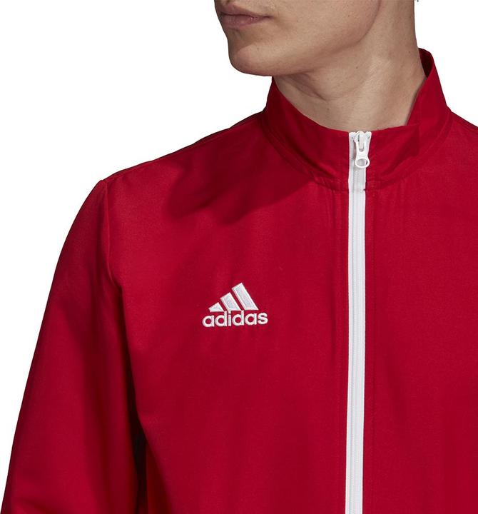 Actual product image adidas Entrada 22 presentation jacket men (XXL)
