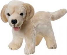 Actual product image Beppe Labrador Welpe stehend 25cm (25 cm)