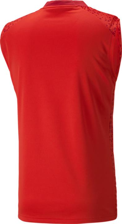 Actual product image Puma teamCUP Training Jersey SL (M)