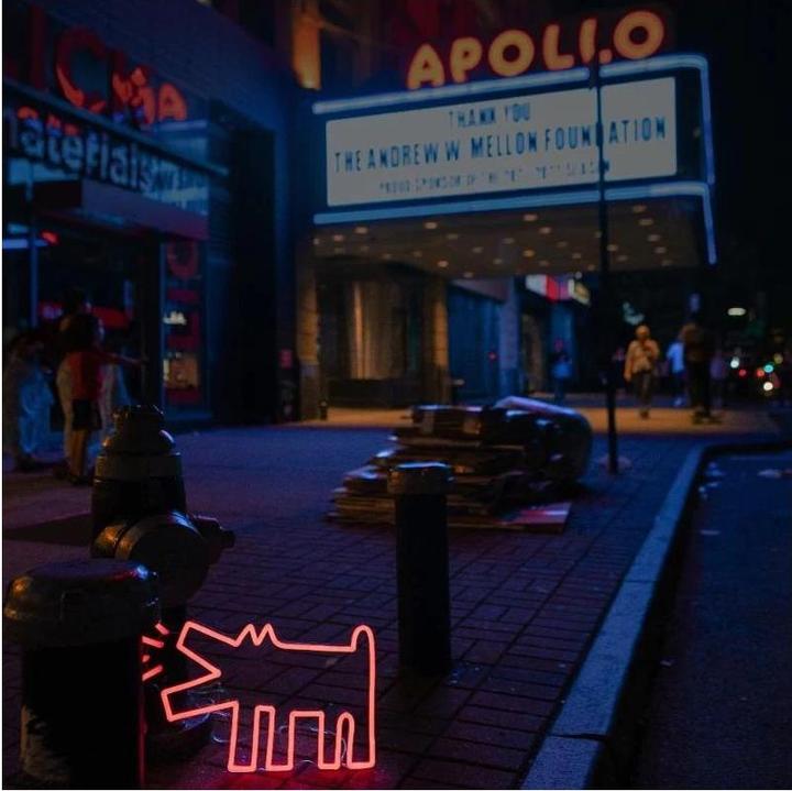 Produktbild YellowPop Keith Haring Barking Dog (5 lm)