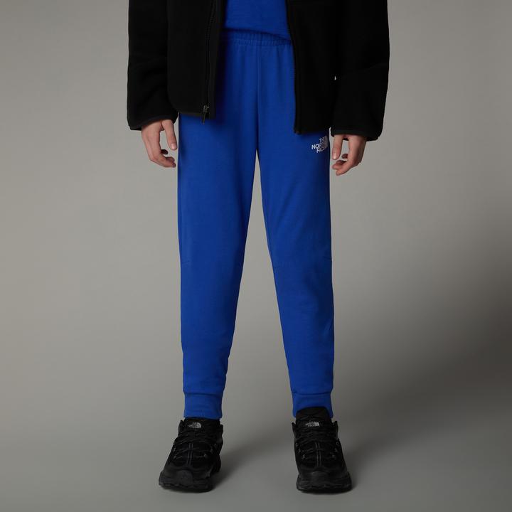 Actual product image North Face Joggers (S)