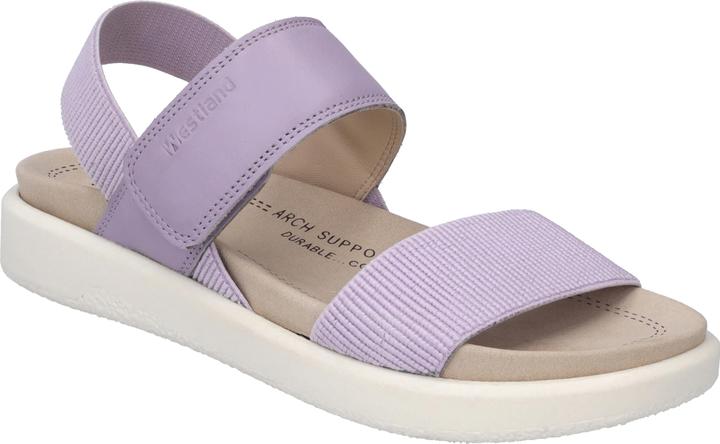 Viola