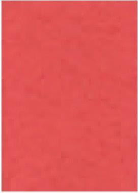 Image du produit Ingold-Biwa COLLIER A4 4mm+Bord 48B.ROUGE (A4, À rayures, Couverture rigide)