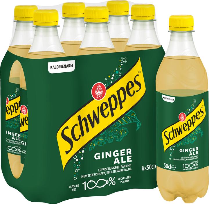 Image du produit Schweppes Ginger Ale (6 x 50 cl)