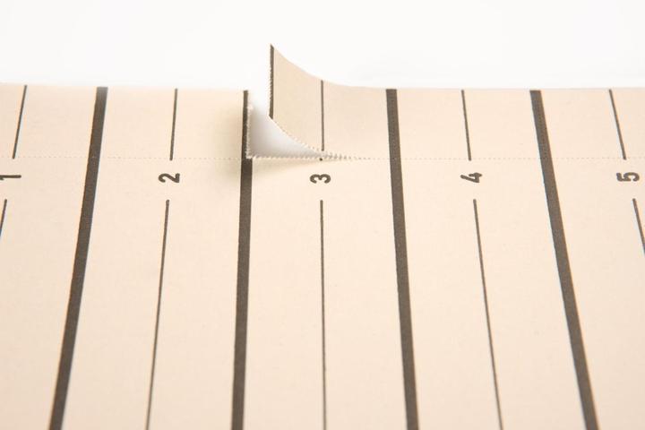 Produktbild Pagna Trennblätter Easy Rip 1-0 beige, 100 St.