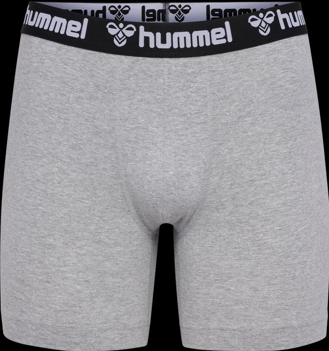 Image du produit hummel Hmlboxers 2-Pack (L)