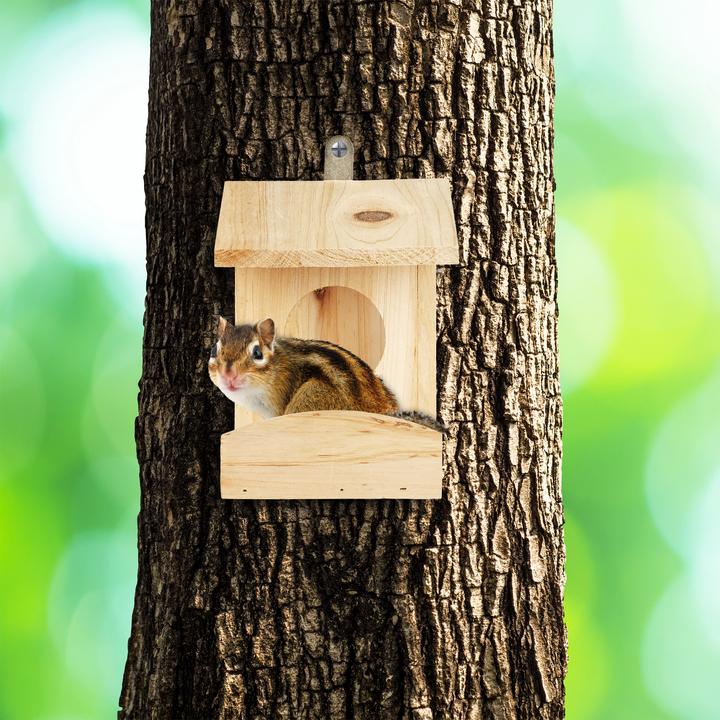 Actual product image Relaxdays Squirrel Feeder