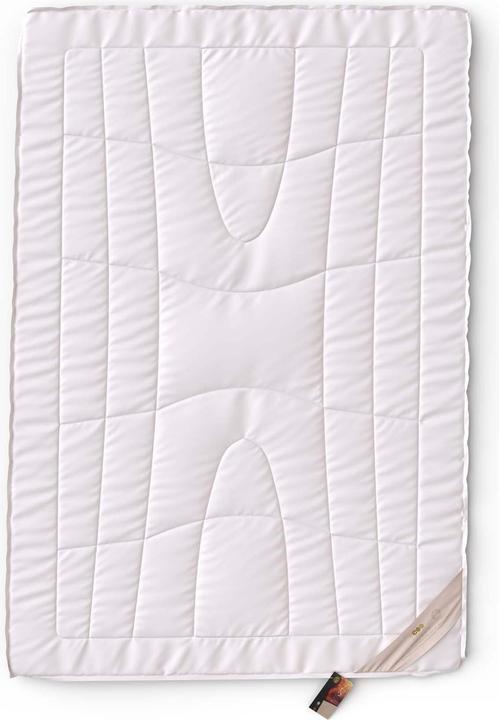 Produktbild Erzstef Dubai Kamelhaar Duvet (1550 g, 200 x 210 cm)