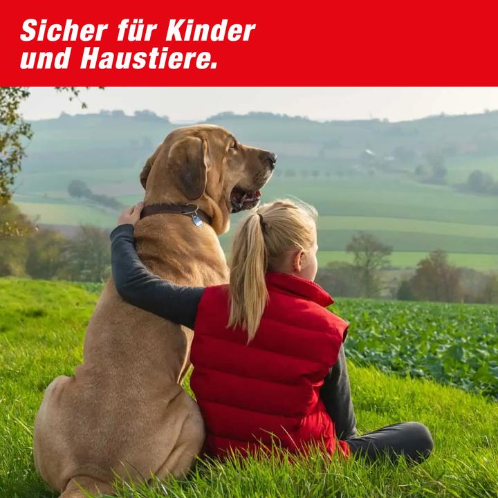 Actual product image Swissinno Ersatzköder