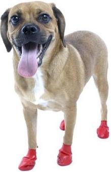 Image du produit Pawz Protection des pattes (XL, Chaussures pour chien)