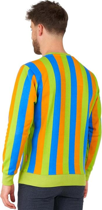 Actual product image OppoSuits – Sesamstrasse Bert Pullover (XS)