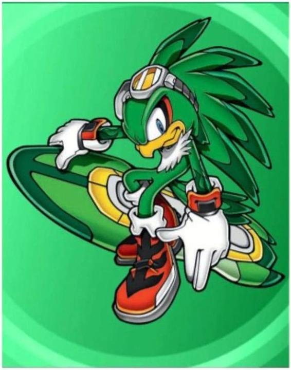 Actual product image Panini Sonic the Hedgehog Sticker Collection Album *German Version*