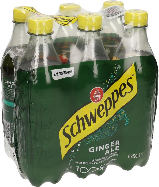Image du produit Schweppes Ginger Ale (6 x 50 cl)