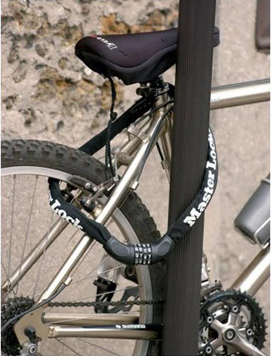 Actual product image Master Lock 8392 Chain lock (90 cm)