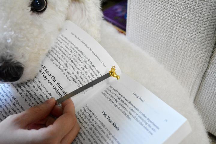 Actual product image MTM Bookmark Leopard