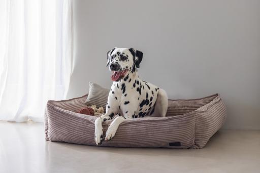 Actual product image Designed by Lotte Lounger bed Ribbed (Dog)