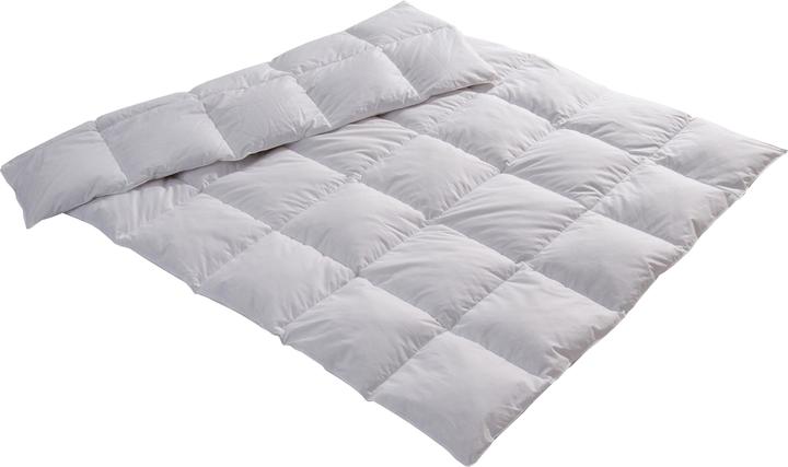 Immagine prodotto Feelings by billerbeck Lara (800 g, 160 x 210 cm)