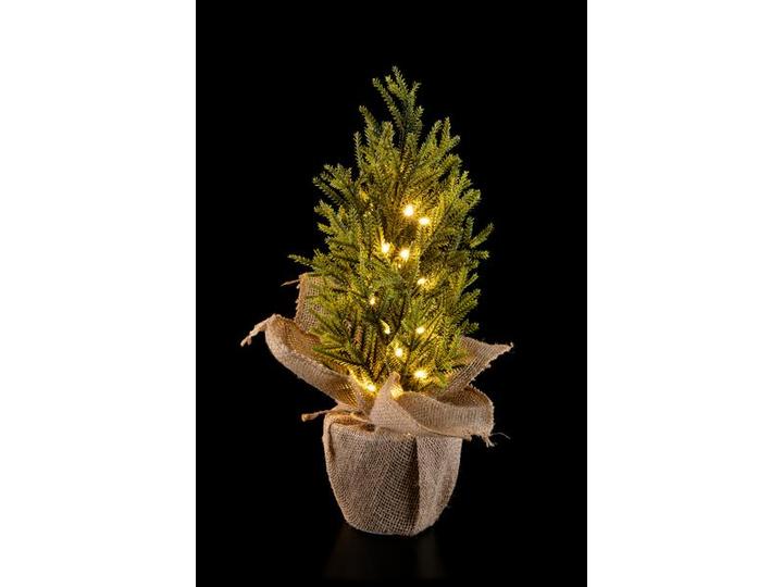 Produktbild STT Nordic Tree