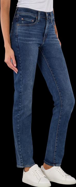 Image du produit Levis 10021732 (W25/L32)