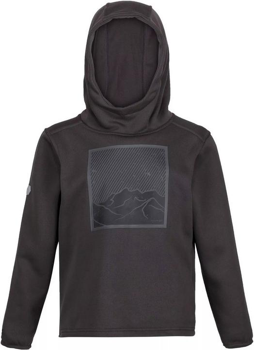 Regatta Highton Kapuzenpullover (140)