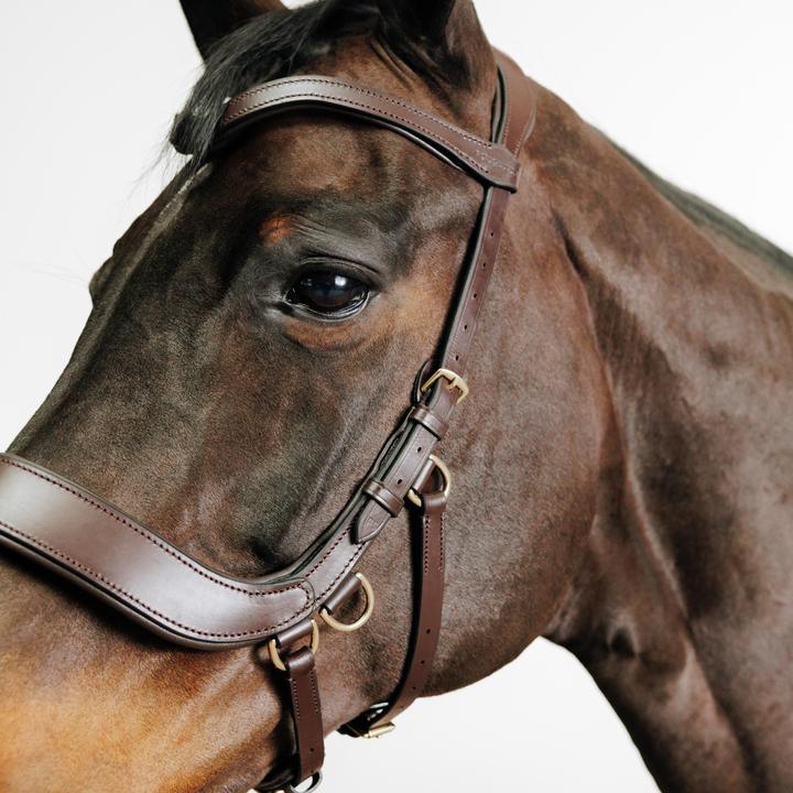 Immagine prodotto Fouganza Briglia senza morso per cavallo/pony marrone