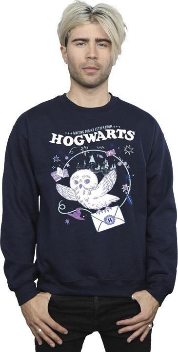 Produktbild Owl Letter From Hogwarts Sweatshirt (XXL)