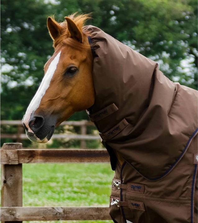 Produktbild Premier Equine Buster 400 g (198 cm)