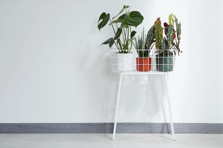 Immagine prodotto Elho b.for soft (13.80 cm)