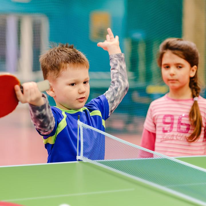 Actual product image Relaxdays Table tennis table