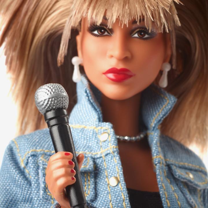 Actual product image Barbie Tina Turner Music Series