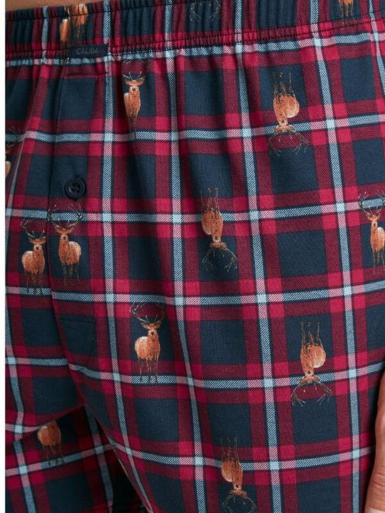 Immagine prodotto Calida Famiglia e amici (XL, Confezione singola)