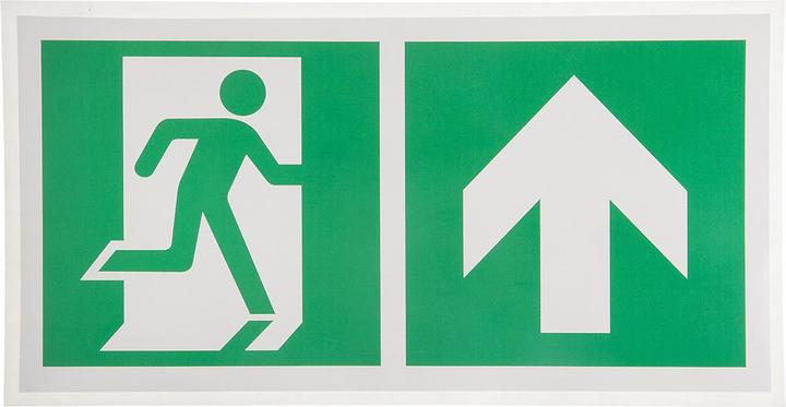 Rs Pro Segno di uscita d'emergenza con etichetta verde/bianca in vinile, senza illuminazione