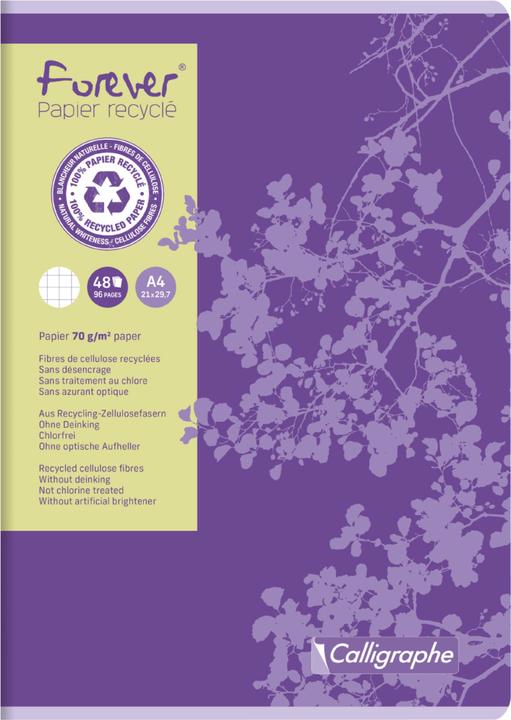 Image du produit Calligaphe Forever papier recyclé (A4, Quadrillé)