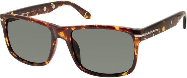 Actual product image Prive Revaux Speculator/S