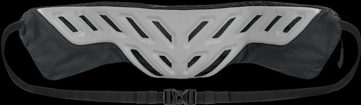 Produktbild Salewa Pedroc Hipbelt