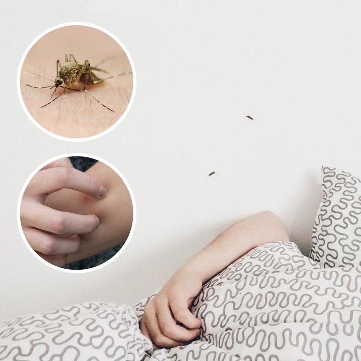 Produktbild Gardigo UV-LED-Insektenvernichter schwarz Kabelbetrieb, zum Aufhängen