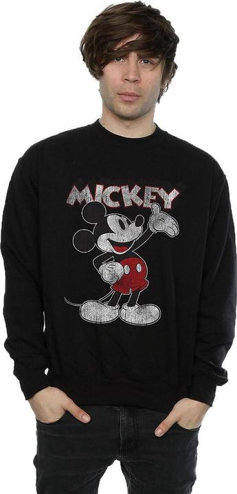 Produktbild Disney Presents Sweatshirt (XXL)