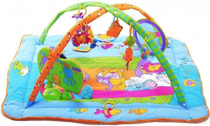Actual product image Tiny Love Gymini Total Playground Kick and Play