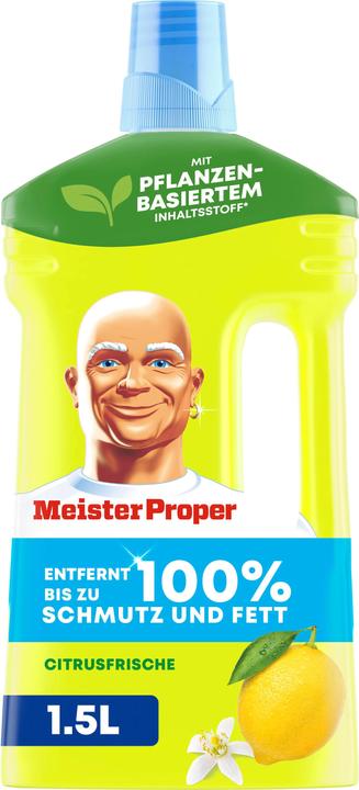 Meister Proper Nettoyant Ménager Multi-Usages