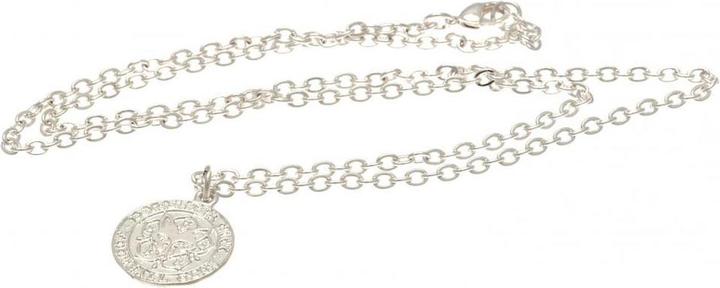 Immagine prodotto Leicester City FC Ciondolo d'argento e catena (100% metallo)