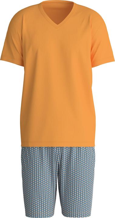 Orange Flamboyant