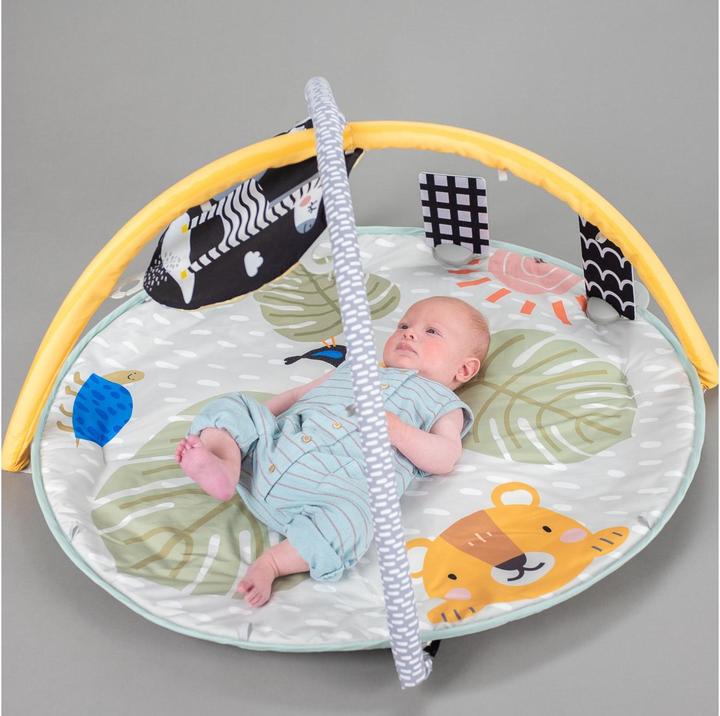 Productafbeelding Taf Toys Savannah