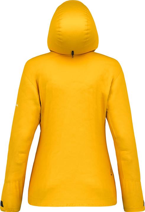 Image du produit Salewa VESTE ORTLES GTX 3L pour femme (38, M)