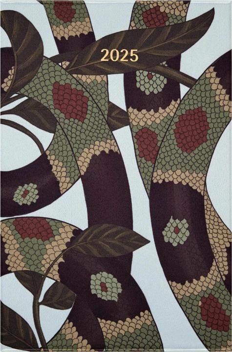 Image du produit Moleskine 12M WONK 25 Snake Leaves+Box (Anglais)