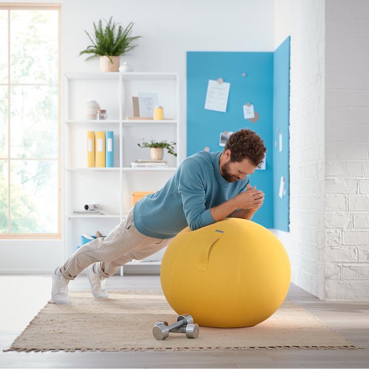 Image du produit Leitz Ballon-siège Ergo Cosy Active (65 cm)