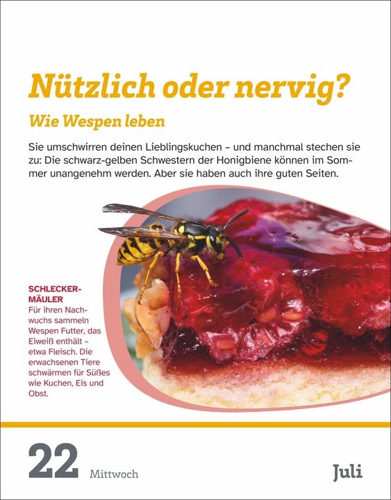 Produktbild Harenberg WAS IST WAS Der Kalender Tagesabreisskalender 2026 - Kinderkalender (Deutsch)
