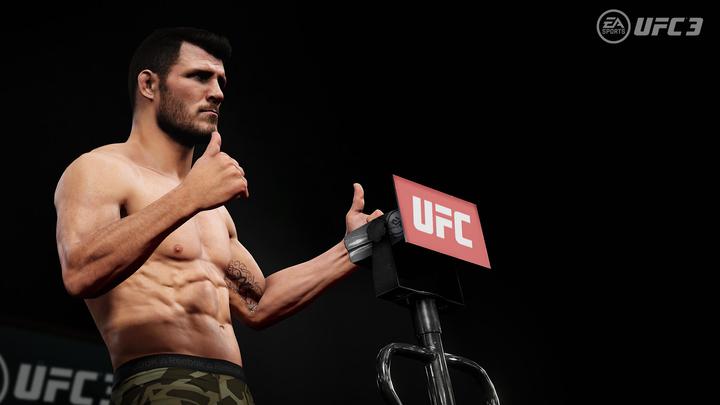 Image du produit EA Games Les succès de la PlayStation : UFC 3 (PS4, DE)