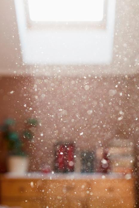 Image du produit Electrolux PURE A9 Breeze - Filtre (1 x)