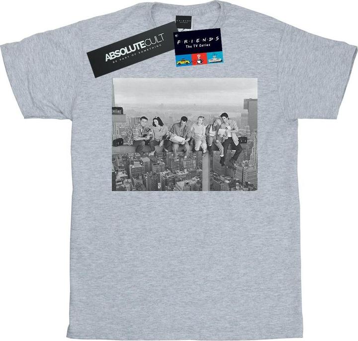 Actual product image Friends Womens/Ladies Construction Photo Cotton Boyfriend T-Shirt (XL)