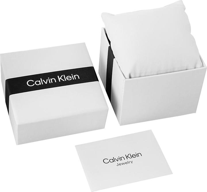 Image du produit Calvin Klein Timeless Mesh Damenuhr 25200003 + BOX (Montre analogique)